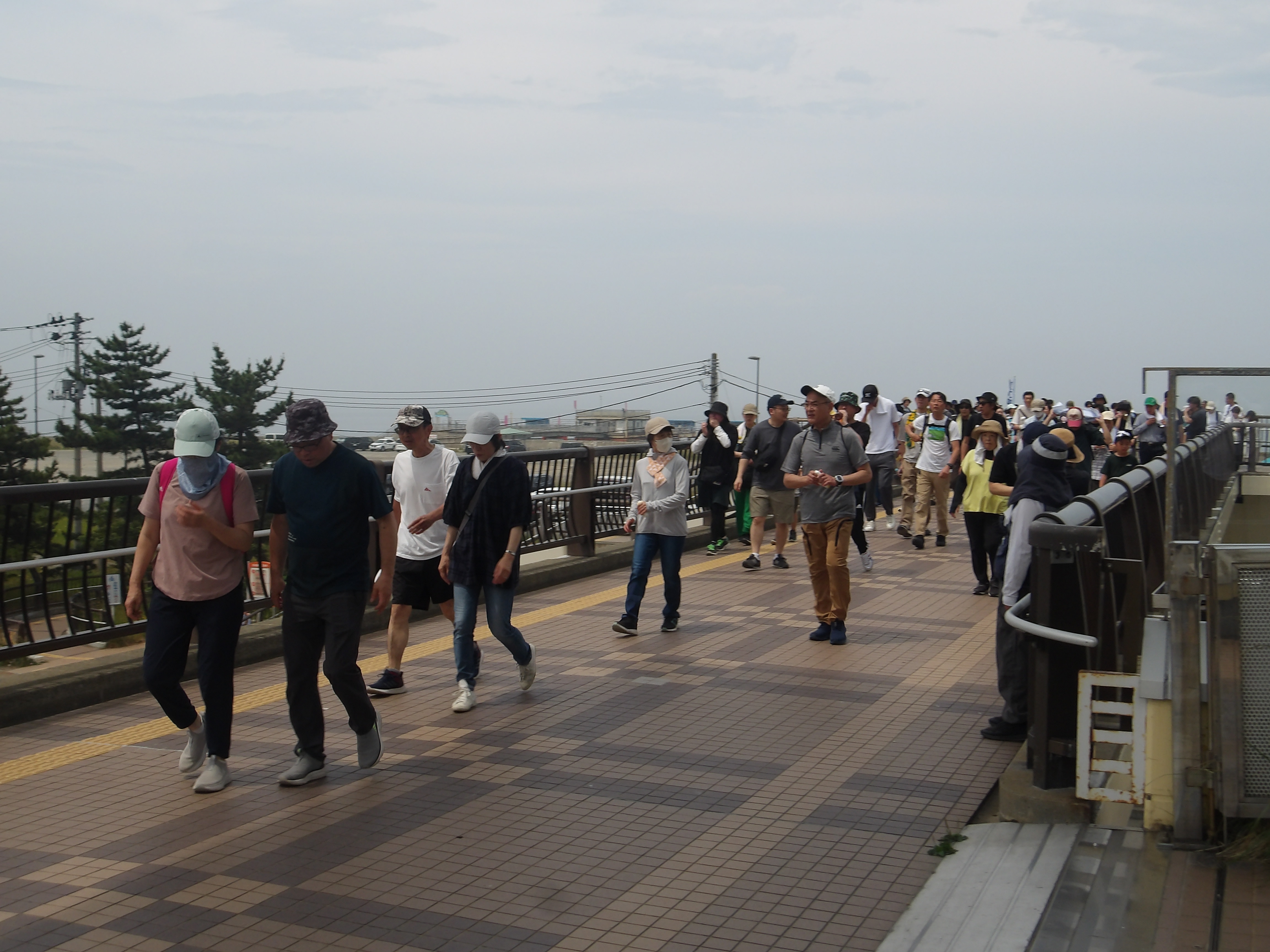 ファミリーウォーキングの画像